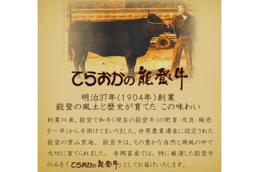 牛肉 能登牛 特選スライス(切り落とし) (4～5等級) 200g ×5パック 計1kg [寺岡畜産 石川県 宝達志水町 38601298] スライス肉 切り落とし お肉 肉 牛 牛スライス 国産 冷凍 和牛