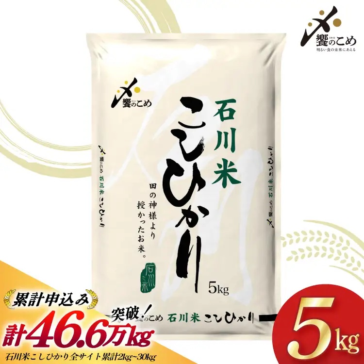 米 令和7年 石川米 こしひかり 精米 5kg [中橋商事 石川県 宝達志水町 38601197] お米 こめ コメ 令和7年産 コシヒカリ 白米 ごはん ご飯 5キロ 能登 石川