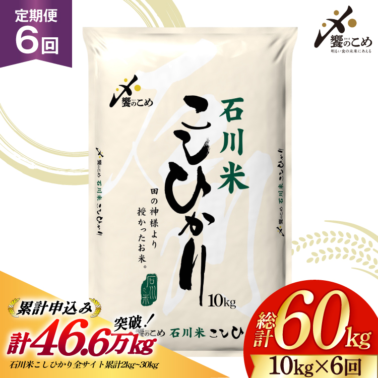 米 定期便 石川米こしひかり【穂立】10kg×6回 総計60kg 令和8年産 新米 [中橋商事 石川県 宝達志水町 38601404] コシヒカリ お米 コメ 6ヶ月 白米 精米 おこめ こめ 能登 10kg 10キロ