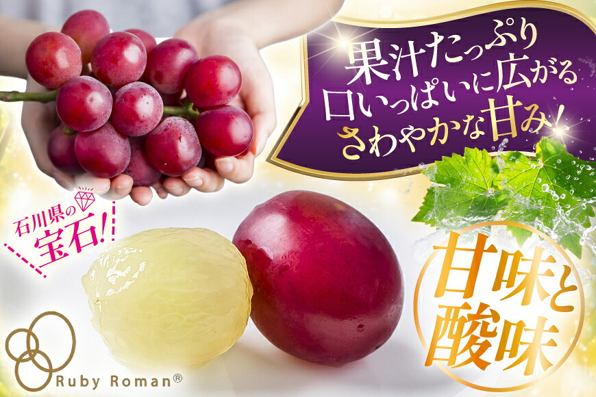 【期間限定発送】 超高級 ぶどう ルビーロマン 1房 約600g 化粧箱入 [モアショップヤマモト 石川県 宝達志水町 38601393] ブドウ 葡萄 フルーツ くだもの 果物 大粒 石川