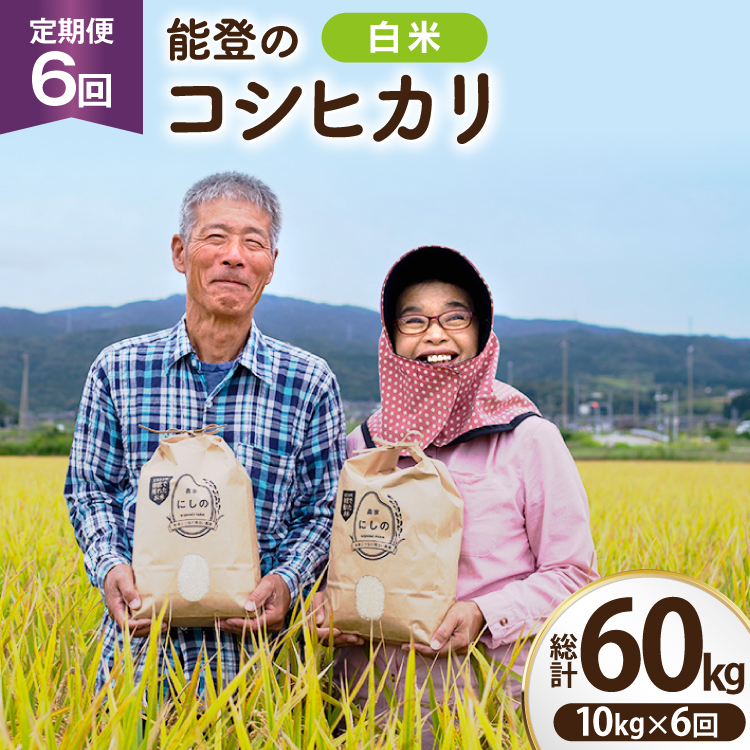 【期間限定発送】 米 定期便 コシヒカリ 白米 10kg 6回 総計 60kg [農家にしの 石川県 宝達志水町 38601174] こしひかり お米 おこめ こめ コメ 精米 ごはん ご飯 令和8年産 新米