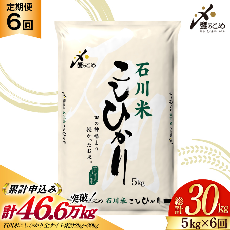 米 定期便 石川米こしひかり【穂立】5kg×6回 総計30kg [中橋商事 石川県 宝達志水町 38601131] コシヒカリ お米 コメ 6ヶ月 白米 精米 おこめ こめ 能登 5kg 5キロ