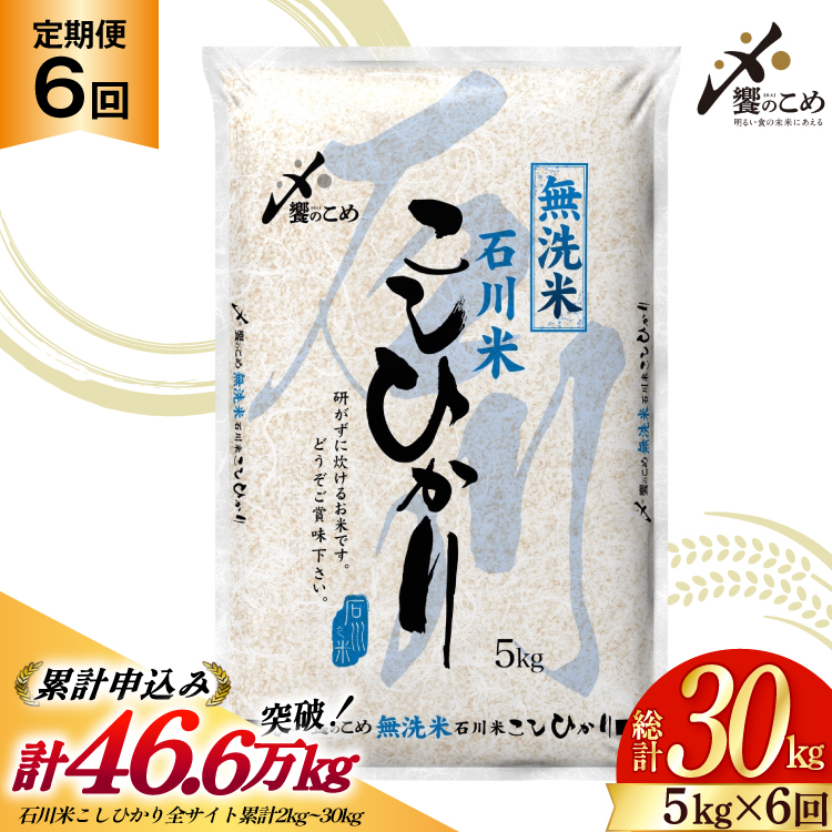 【6回 無洗米 定期便 】石川県産 こしひかり 5kg×6回 総計30kg [中橋商事 石川県 宝達志水町 38601337] 米 お米 白米 精米 ご飯 ごはん コシヒカリ