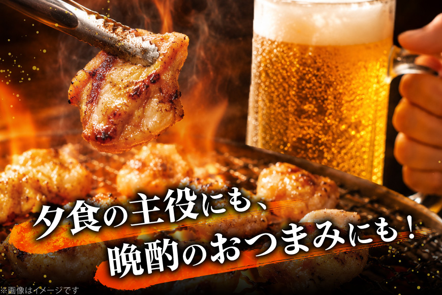 ホルモン 味付き能登豚ホルモンミックス 150g × 3パック [ホルモンしんちゃん 石川県 宝達志水町 38601396] 肉 お肉 ほるもん 能登豚 豚肉 豚ホルモン 冷凍 味付き 小分け おかず 焼肉 BBQ おつまみ