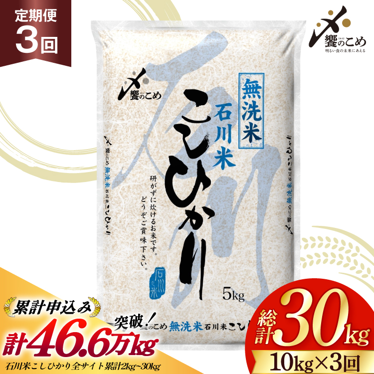 米 定期便 無洗米 石川米 こしひかり 10kg ( 5kg 2袋) 3回 総計30kg 令和8年産 新米 [中橋商事株式会社 石川県 宝達志水町 38601402] お米 白米 ごはん 美味しい コシヒカリ おこめ こめ 10kg 30kg 石川 能登 むせんまい