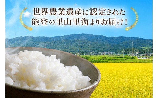 【期間限定発送】 米 定期便 コシヒカリ 白米 10kg 12回 総計 120kg [農家にしの 石川県 宝達志水町 38601410] こしひかり お米 おこめ こめ コメ 精米 ごはん ご飯 令和8年産 新米