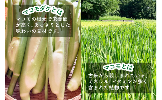 マコモ体験チケット（9,000円分）田植え 収穫 マコモ料理 手仕事体験 [マコモ農園さんさん 山梨県 韮崎市 20742714] 体験 子ども 子供 まこも 真菰 マコモ 真菰茶 まこも茶 マコモ茶 マコモダケ 体験型