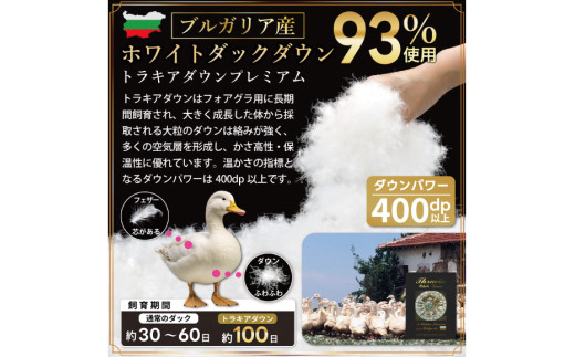 【春夏用】洗える 羽毛布団 羽毛布団 ダブル 肌掛け肌掛け布団 ダウン 夏 春 ホワイトダックダウン 93% 0.5kg ブラウン ダウンケット 羽毛 布団 うもう布団 ふとん 肌掛 掛け布団 掛布団 寝具 夏用 春用 日本製 国産 抗菌防臭 無地 ダニプルーフ 花粉フリー 柔軟加工 送料無料 コインランドリー [川村羽毛 山梨県 韮崎市 20745032]