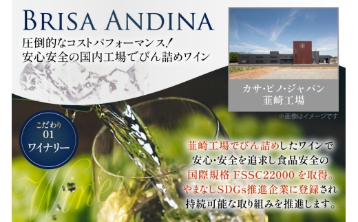 ワイン 白 ブリサ・アンディーナ ソーヴィニヨンブラン 500ml 12本 セット [カサ・ピノ・ジャパン 山梨県 韮崎市 20745345] ワインセット 山梨 酒 お酒 白ワイン アルコール ぶどう 果実酒
