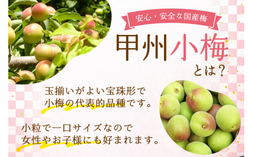 【やばいだろ】粋な小梅 350g [山梨農産食品 山梨県 韮崎市 20742087] 梅干し 梅干 うめぼし 梅 小粒 小梅 カリカリ梅 国産 個包装