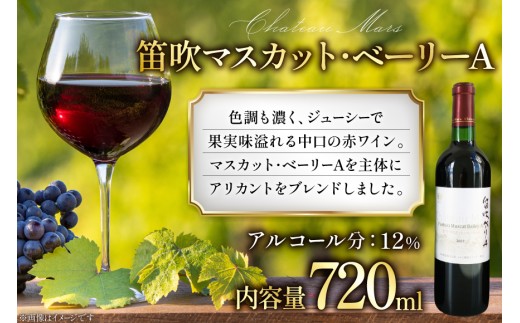 ワイン 赤 飲み比べ 赤ワイン 4本 セット 果実酒 ワインセット 山梨ワイン 日本ワイン ソムリエセレクト 詰め合わせ お酒 酒 アルコール シャトーマルス ソムリエ 山梨 日本ワイン ギフト 贈答 ギフト パーティー [本坊酒造 マルス穂坂ワイナリー 山梨県 韮崎市 20743505]