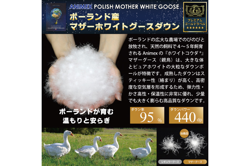【春夏用】高級 軽量 羽毛布団 シングル 肌掛け 肌掛け布団 ダウン 夏 春 マザーホワイトグースダウン 95％ 0.3kg 440dp 100×140番手 サテン 無地 アイボリー 6つ星 ポーランド産 プレミアムゴールドラベル ダウンケット 綿100％ 布団 ふとん 羽毛ふとん 掛け布団 肌掛け布団 寝具 日本製 羽毛 ソフトケース付き [川村羽毛 山梨県 韮崎市 20743702]