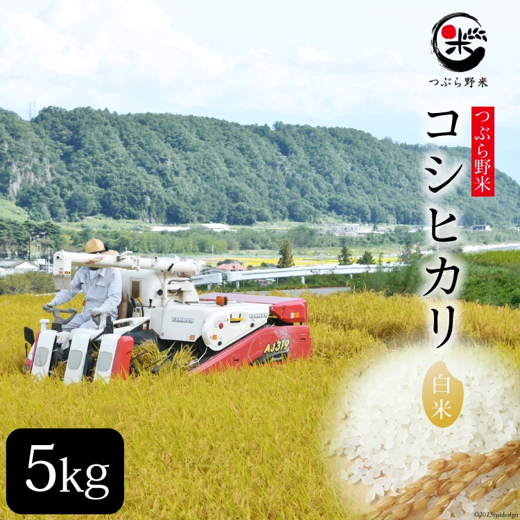 米 令和8年 つぶら野米 コシヒカリ 白米 5kg [つぶら野米 山梨県 韮崎市 20743368] こめ コメ お米 精米 こしひかり