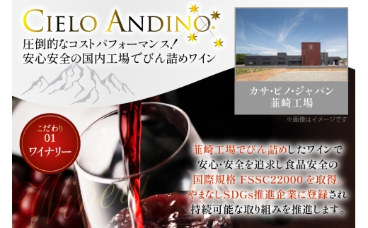 ワイン 赤 シエロアンディーノ・レッド 720ml 12本 セット [カサ・ピノ・ジャパン 山梨県 韮崎市 20745347] ワインセット 山梨 酒 お酒 赤ワイン アルコール ぶどう 果実酒