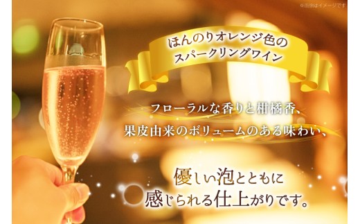 ワイン 甲州オランジュ･グリ スパークリング [本坊酒造株式会社マルス穂坂ワイナリー 山梨県 韮崎市 20745330] Wine わいん お酒 酒 スパークリングワイン オレンジワイン 甲州 山梨ワイン