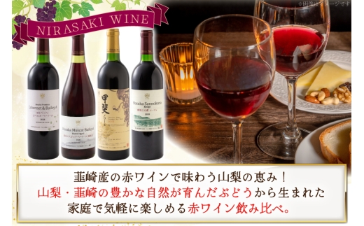 赤ワイン 4本 飲み比べセット　750ml×4本 [株式会社まあめいく 山梨県 韮崎市 20745328] ワイン Wine わいん 赤 飲み比べセット お酒 酒 山梨ワイン セット