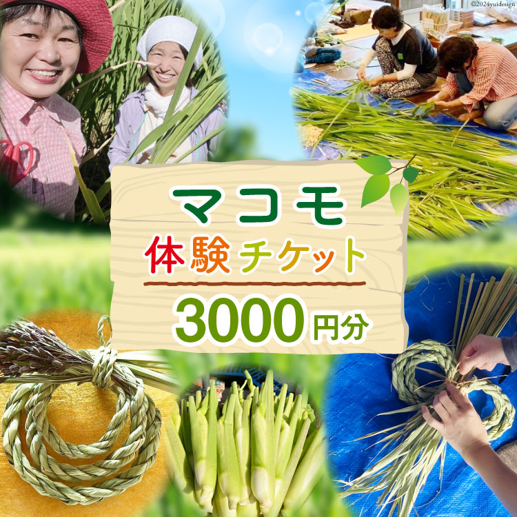 マコモ体験チケット（3,000円分）田植え 収穫 マコモ料理 手仕事体験 [マコモ農園さんさん 山梨県 韮崎市 20742712] 体験 子ども 子供 まこも 真菰 マコモ 真菰茶 まこも茶 マコモ茶 マコモダケ 体験型