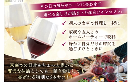 ワイン 韮崎産 赤白ワイン 飲み比べ 6本セット 750ml×6本 [株式会社まあめいく 山梨県 韮崎市 20745327] ワイン Wine わいん 赤ワイン 白ワイン 飲み比べセット お酒 酒 山梨ワイン セット