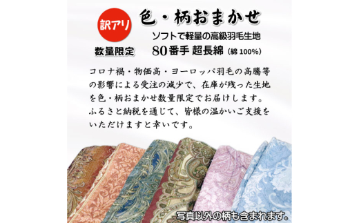 訳あり 羽毛布団 セミダブル 冬用 色柄おまかせ 掛け布団 冬 本掛け ブルガリア産 ホワイトダックダウン 93％ 1.5kg 400dp 80番手サテン 布団 ふとん 羽毛ふとん 掛布団 日本製 数量限定 寝具 羽毛掛け布団 訳アリダウン ダウンケット [川村羽毛 山梨県 韮崎市 20743066]