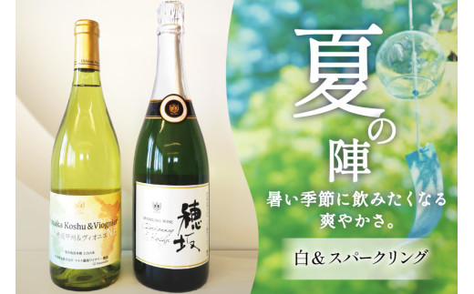 ワイン 白 スパークリング おまかせ マルスワイン 2本セット ソムリエセレクト 日本ワイン 〜夏の陣〜 白ワイン スパークリングワイン 夏のワイン シャトーマルス 山梨ワイン Wine わいん お酒 酒 山梨  山梨県 洋酒 果実酒 季節のワイン [本坊酒造 マルス穂坂ワイナリー 山梨県 韮崎市 20743116] 