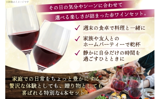 赤ワイン 4本 飲み比べセット　750ml×4本 [株式会社まあめいく 山梨県 韮崎市 20745328] ワイン Wine わいん 赤 飲み比べセット お酒 酒 山梨ワイン セット