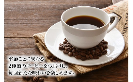 コーヒー 珈琲 【挽き】12回 定期便 自家焙煎 スペシャルティ 季節 ギフトセット 200g 2種類 総計4.8kg 詰め合わせ セット 飲み比べ こだわり [アフターゲームカフェ 山梨県 韮崎市 20743930]