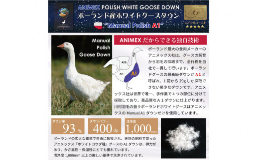【オールシーズン】 洗える羽毛布団 羽毛布団 セミダブル 肌掛け 合掛け 掛け布団 2枚組 セット ポーランド産 ホワイトグース 93％ 400dp グレー 無地 2枚合わせ 春用 夏用 秋用 冬用 本掛け ダウンケット 羽毛 布団  寝具 5つ星 ロイヤルゴールドラベル 抗菌防臭 ダニプルーフ 花粉フリー 柔軟加工 コインランドリー [川村羽毛 山梨県 韮崎市 20743595]