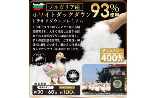 【オールシーズン】 洗える羽毛布団 羽毛布団 セミダブル 肌掛け 合掛け 掛け布団 2枚組 セット ブルガリア産 ホワイトダックダウン 93％ 400dp グレー 無地 2枚合わせ 春用 夏用 秋用 冬用 本掛け ダウンケット 羽毛 布団 寝具 5つ星 ロイヤルゴールドラベル 抗菌防臭 ダニプルーフ 花粉フリー 柔軟加工 コインランドリー [川村羽毛 山梨県 韮崎市 20743603]