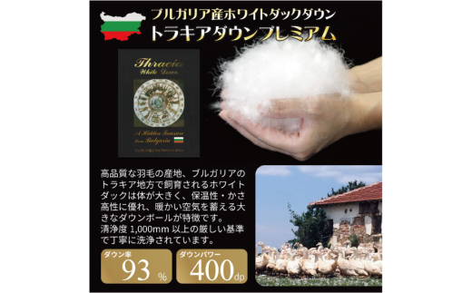 訳あり 羽毛布団 ダブル 冬用 色柄おまかせ 掛け布団 冬 本掛け ブルガリア産 ホワイトダックダウン 93％ 1.7kg 400dp 80番手サテン 布団 ふとん 羽毛ふとん 掛布団 日本製 数量限定 寝具 羽毛掛け布団 訳アリダウン ダウンケット [川村羽毛 山梨県 韮崎市 20743065]