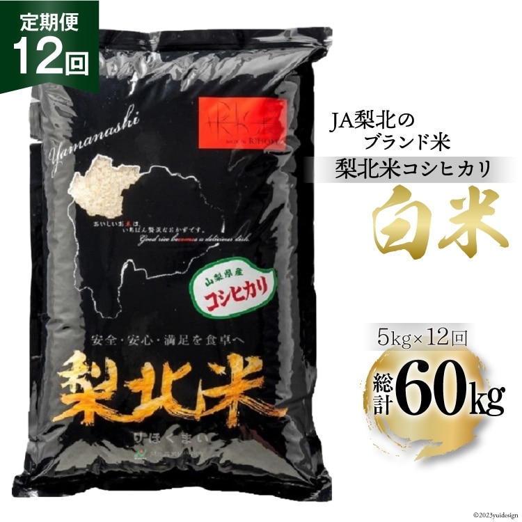 米 【定期便 12回 】梨北米 コシヒカリ 5kg 12回 総計 60kg こしひかり コシヒカリ お米 おこめ こめ コメ 精米 61キロ ご飯 ごはん 白米 お弁当 国産 JA 梨北 山梨 [梨北農業協同組合 山梨県 韮崎市 20743674] 