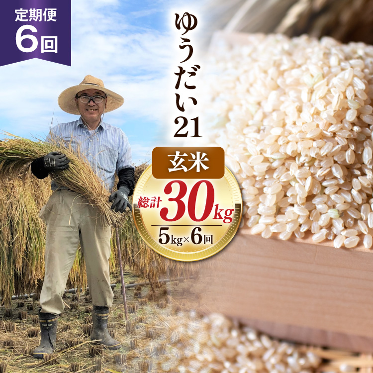 6回 定期便 米 令和8年産 玄米 ゆうだい21 5kg×6回 計30kg [穂足農園合同 山梨県 韮崎市 20745231] お米 コメ ご飯 ごはん 山梨県産