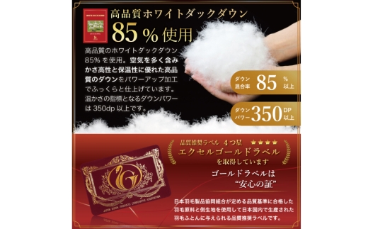【春夏用】洗える！ 羽毛 肌掛け布団 シングル ホワイトダックダウン 85% 0.3kg (無地 グレー) 羽毛布団 布団 ふとん 羽毛 肌掛け 掛け布団 寝具 夏用 日本製 国産 抗菌防臭 無地 コインランドリー [川村羽毛 山梨県 韮崎市 20745100]