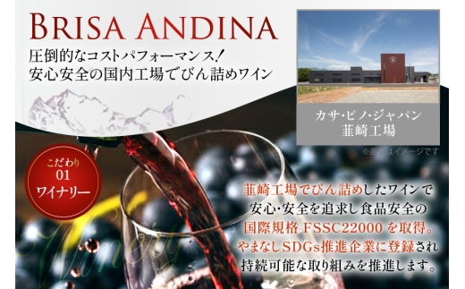 ワイン 赤 ブリサ・アンディーナ メルロー 500ml 12本 セット [カサ・ピノ・ジャパン 山梨県 韮崎市 20745346] ワインセット 山梨 酒 お酒 赤ワイン アルコール ぶどう 果実酒