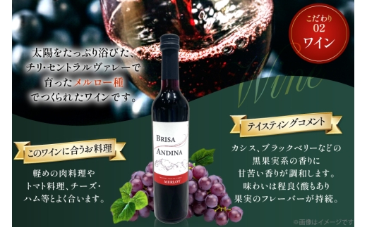 ワイン 赤 ブリサ・アンディーナ メルロー 500ml 12本 セット [カサ・ピノ・ジャパン 山梨県 韮崎市 20745346] ワインセット 山梨 酒 お酒 赤ワイン アルコール ぶどう 果実酒
