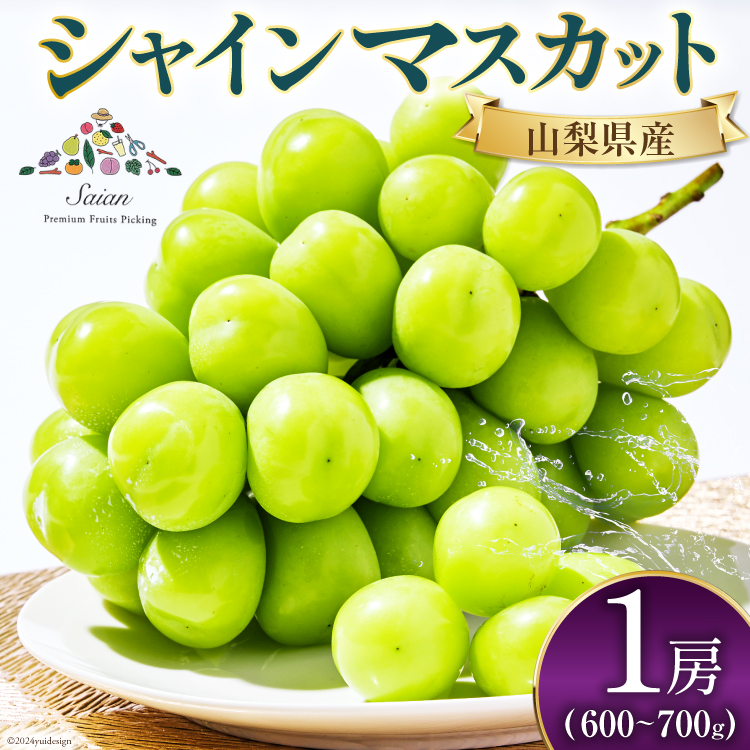 シャインマスカット 先行受付 予約 1房 600 ～ 700g 【2027年発送】 [斎庵 山梨県 韮崎市 20745279] ぶどう シャイン マスカット 山梨 フルーツ 果物 くだもの 種無し 山梨県産 期間限定 季節限定 冷蔵