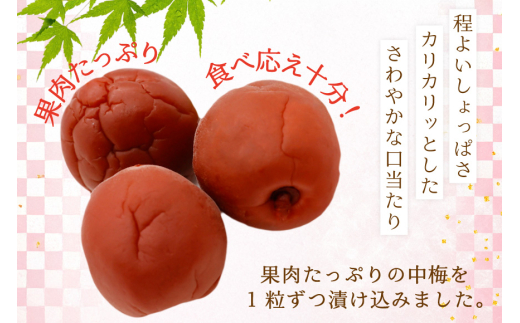 【カリカリ】梅恋し 10個×2袋 [山梨農産食品 山梨県 韮崎市 20743175] 梅干し 梅干 うめぼし 梅 小粒 小梅 カリカリ梅 個包装