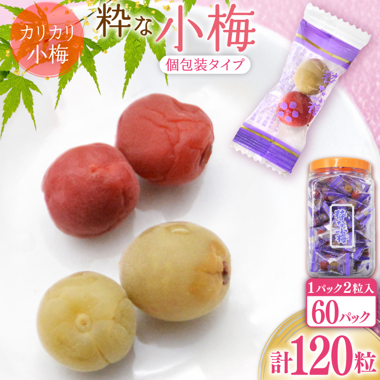 【やばいだろ】粋な小梅 2粒×60 計120粒 [山梨農産食品 山梨県 韮崎市 20743177] 梅干し 梅干 うめぼし 梅 小粒 小梅 カリカリ梅 国産 個包装
