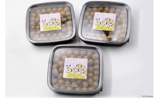 【カリカリ】信玄の薬膳小梅 150g×3 [山梨農産食品 山梨県 韮崎市 20742099] 梅干し 梅干 うめぼし 梅 小粒 小梅 カリカリ梅 国産 個包装