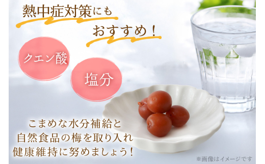 梅干 梅干し カリカリ梅 甲州小梅 300g 小梅うめぼし 梅 小粒 カリカリ小梅 国産 減塩 熱中症予防 お弁当 おにぎり おむすび 送料無料 [山梨農産食品 山梨県 韮崎市 20743178]