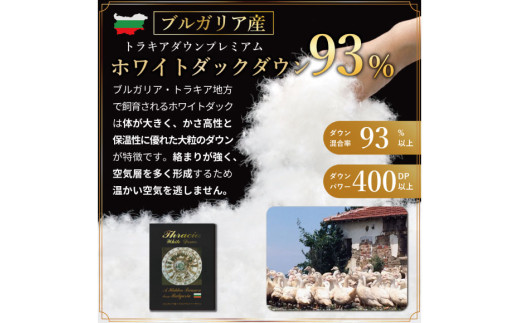 羽毛布団 シングル 冬用 掛け布団 冬 本掛け ブルガリア産 ホワイトダックダウン93％ 1.3kg 400dp 80番手サテン 青系 柄 5つ星 ロイヤルゴールドラベル 布団 ふとん 羽毛 羽毛掛け布団 寝具 収納袋付 日本製 国産 抗菌 防臭 ダウン ダウンケット [川村羽毛 山梨県 韮崎市 20743238]