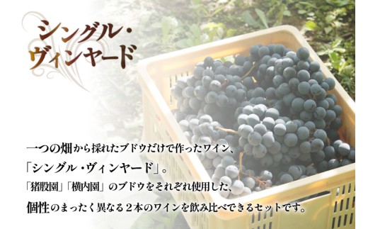 ワイン 定期便 赤 フルボディ 赤ワイン セット山梨ワイン 日本ワイン 穂坂マスカット・ベーリーＡ シングル・ヴィンヤード 750ml 2種 12回 酒 ワイン わいん wine 洋酒 果実酒  飲料 アルコール度 12% 送料無料 [シャトー・メルシャン 勝沼ワイナリー 山梨県 韮崎市 20743314]