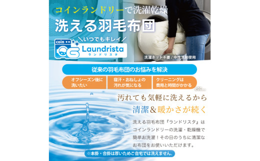 【春夏用】洗える 羽毛布団 羽毛布団 ダブル 肌掛け肌掛け布団 ダウン 夏 春 ホワイトダックダウン 93% 0.5kg ブラウン ダウンケット 羽毛 布団 うもう布団 ふとん 肌掛 掛け布団 掛布団 寝具 夏用 春用 日本製 国産 抗菌防臭 無地 ダニプルーフ 花粉フリー 柔軟加工 送料無料 コインランドリー [川村羽毛 山梨県 韮崎市 20745032]