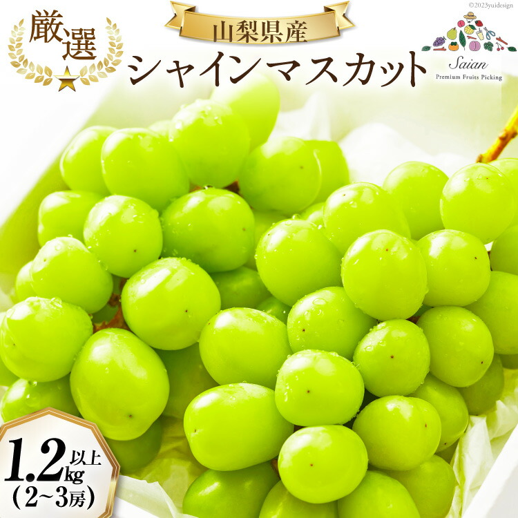 シャインマスカット 先行受付 予約 約 1.2～1.3kg 2～ 3房 【2027年発送】 [斎庵 山梨県 韮崎市 20745280] ぶどう シャイン マスカット 冷蔵発送 果物 フルーツ 山梨 種なし 厳選 旬 期間限定 季節限定 冷蔵