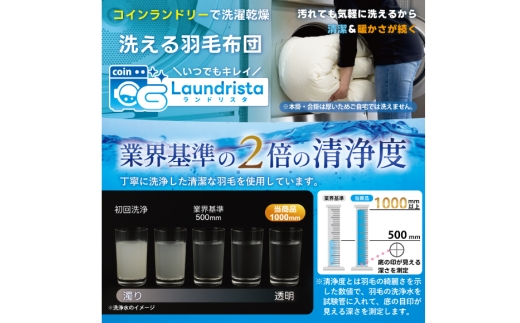 【春夏用】洗える！ 羽毛 肌掛け布団 セミダブル ホワイトダックダウン 85% 0.4kg (無地 グレー) 羽毛布団 布団 ふとん 羽毛 肌掛け 掛け布団 寝具 夏用 日本製 国産 抗菌防臭 無地 コインランドリー [川村羽毛 山梨県 韮崎市 20745099]