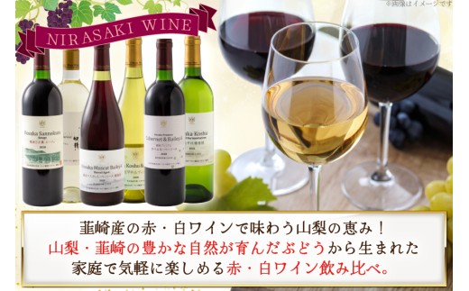 ワイン 韮崎産 赤白ワイン 飲み比べ 6本セット 750ml×6本 [株式会社まあめいく 山梨県 韮崎市 20745327] ワイン Wine わいん 赤ワイン 白ワイン 飲み比べセット お酒 酒 山梨ワイン セット