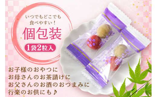 【やばいだろ】粋な小梅 2粒×60 計120粒 [山梨農産食品 山梨県 韮崎市 20743177] 梅干し 梅干 うめぼし 梅 小粒 小梅 カリカリ梅 国産 個包装