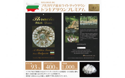 【春秋用】羽毛布団 シングル 合掛け 中厚  軽い 羽毛 布団  ブルガリア産 ホワイトダックダウン 93％ 0.8kg 400dp 60番手サテン (レオーネ 赤 柄 )  掛け布団 春用 秋用 ダウンケット 合掛け布団 ダウンかけ布団 ふとん 日本製 5つ星 ロイヤルゴールドラベル 抗菌防臭 [川村羽毛 山梨県 韮崎市 20741796]