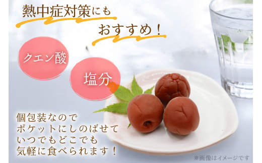 梅干し 粋な小梅ポット 60個入 & 梅恋しポット 30個入 [山梨農産食品 山梨県 韮崎市 20743522] 梅干 うめぼし 個包装 食べ比べ 梅 漬物 つけもの おやつ  おつまみ 熱中症予防
