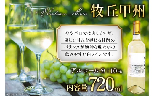 ワイン 白 飲み比べ 白ワイン 4本 セット 果実酒 ワインセット 山梨ワイン 日本ワイン ソムリエセレクト マルスワイン 詰合せ 720ml 2本 750ml 2本 計 2940ml シャトーマルス 辛口 お酒 酒 アルコール 贈答 ギフト パーティー [本坊酒造 マルス穂坂ワイナリー 山梨県 韮崎市 20743677]