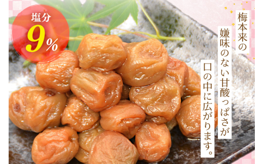 梅干し はちみつ風味 干し小梅 75g×2 [山梨農産食品 山梨県 韮崎市 20743523] 国産 梅干 うめぼし 梅 小粒 小梅 はちみつ 蜂蜜 漬物 つけもの